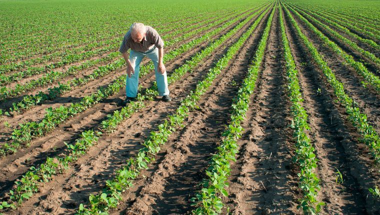 Inversiones en el sector agroalimentario de Sonora Inversiones en el sector agroalimentario de Sonora