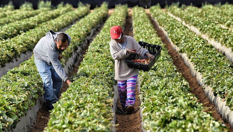Financiera Nacional de Desarrollo participará en programa de reactivación económica para mipymes