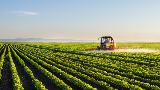 Treembo: Primera Plataforma de Agronegocios en México