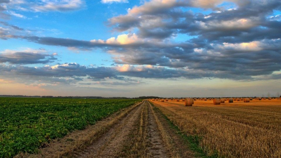 Sector agroalimentario de México no debe parar: García Winder