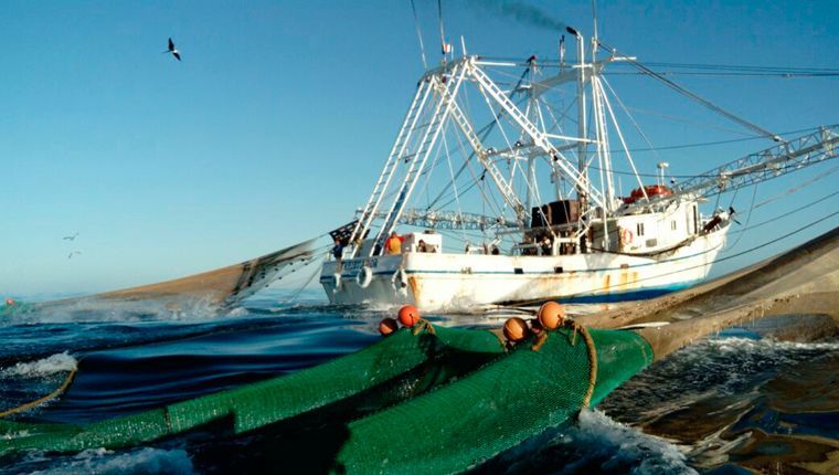 Oportunidades de inversión en el sector agroalimentario en Sinaloa
