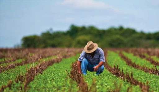 El campo mexicano, en riesgo de convertirse en un sector de damnificados
