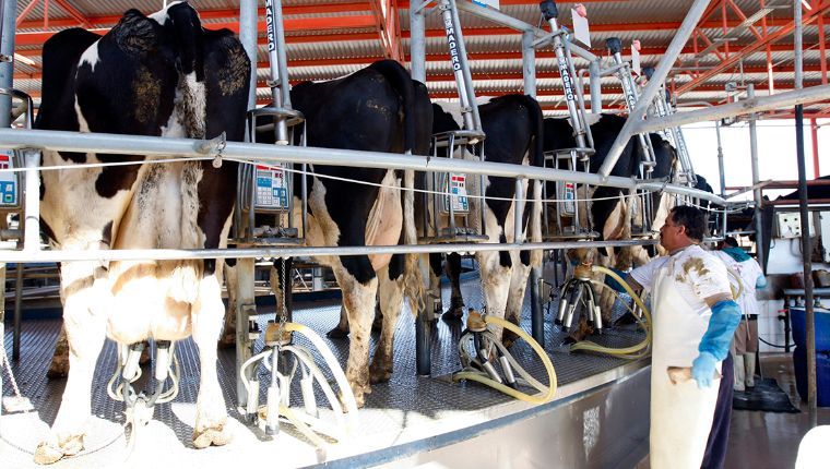 Reactivación económica para el sector agroalimentario y medio rural en Hidalgo