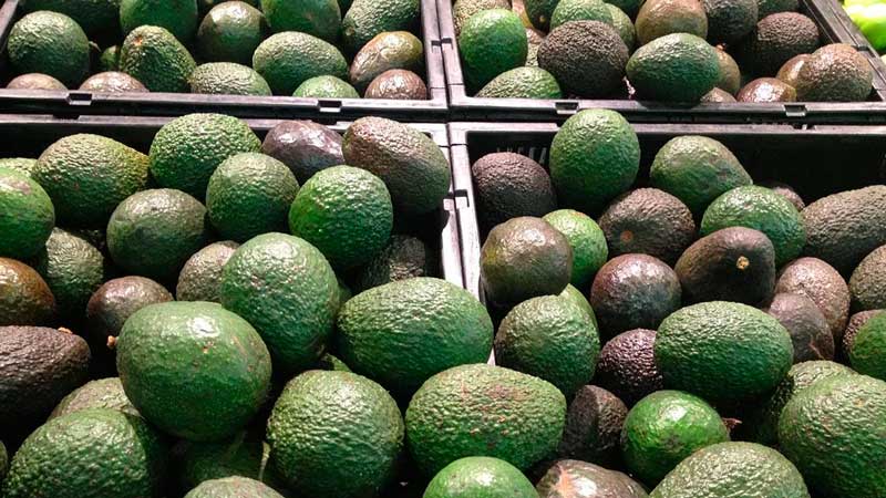 Con el aguacate y el tequila por delante, el agro mexicano sube sus exportaciones Con el aguacate y el tequila por delante, el agro mexicano sube sus exportaciones
