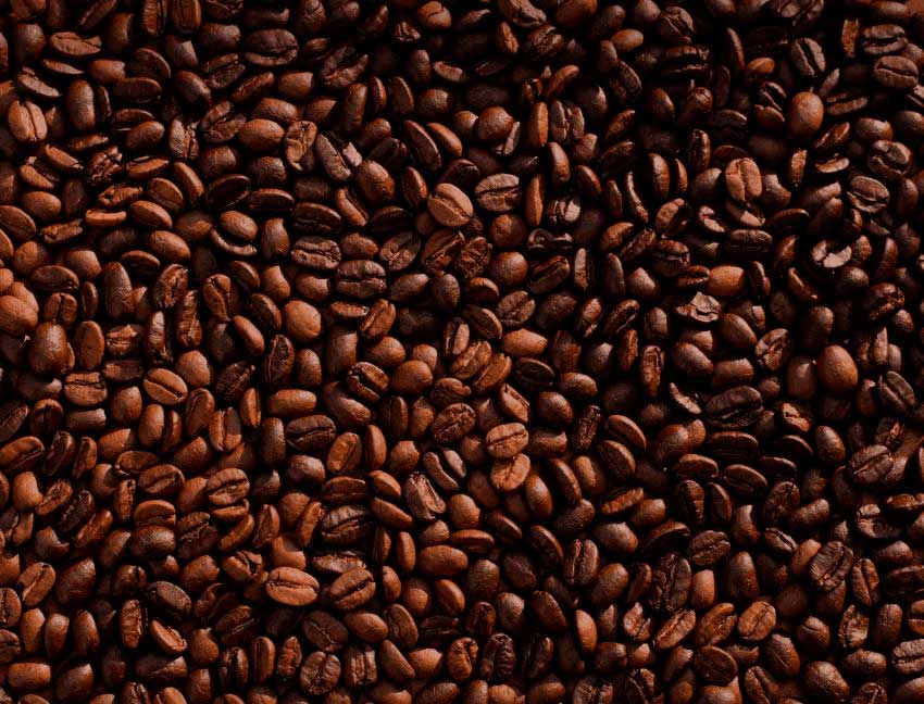 EXISTENCIAS MUNDIALES DE CAFÉ LLEGARÁN A MÁXIMO DE SEIS AÑOS POR AUMENTO DE PRODUCCIÓN