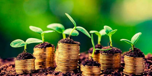 Los-agronegocios-mas-rentables