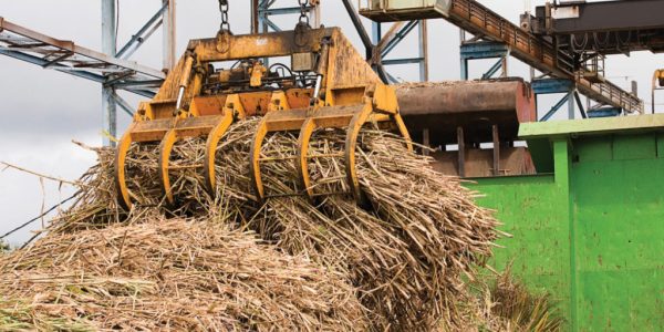 agricultura