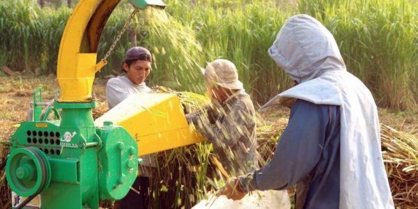 agricultura_1_crop1590428848904.jpg_219914347