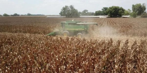 agricultura_sinaloa_1_crop1601769340953.jpg_219914347