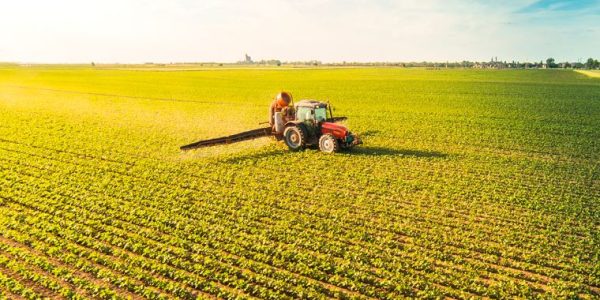 agro.jpg_596760611-2