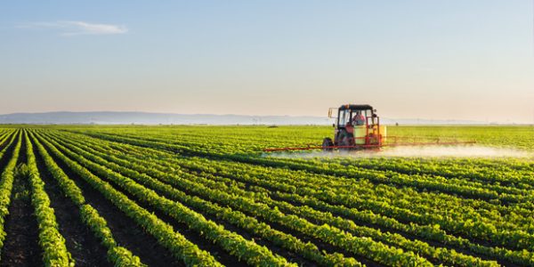 agroindustria