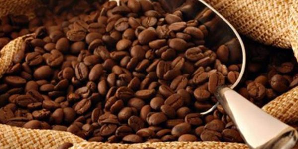 cafeticultores-guerrero-buscan-posicion-mercado