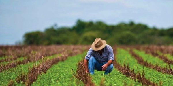 campo-mexicano-1140x570