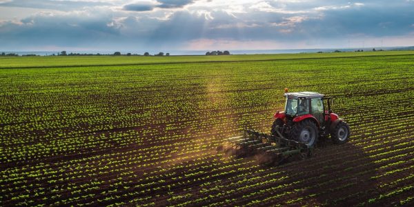 impulsan-sector-agroalimentario-de-guanajuato