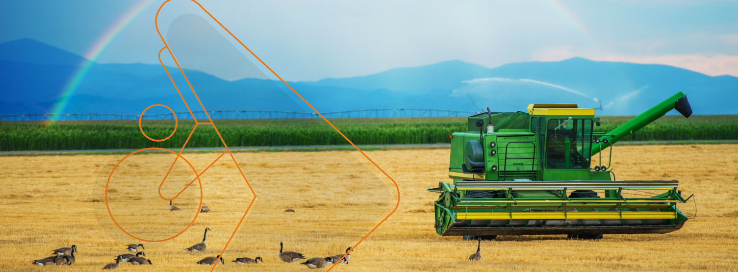 prime action agronegócios canais de distribuição