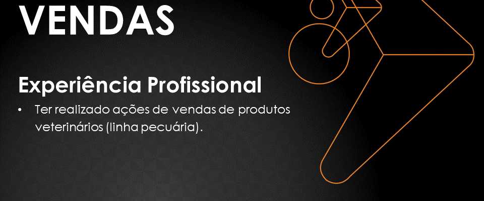 Promotor de Vendas