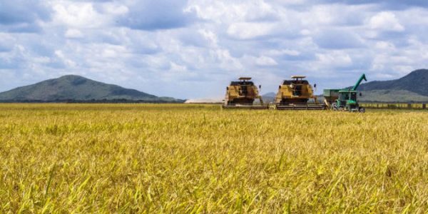 agricultura-675x450[1]