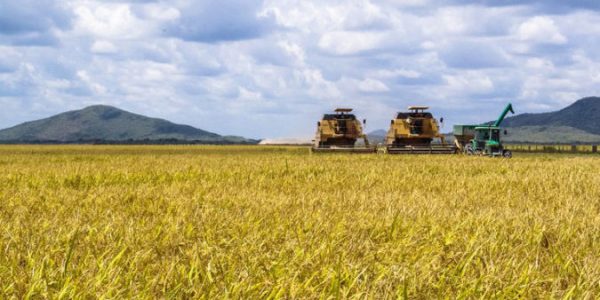 agricultura-675x450[1]