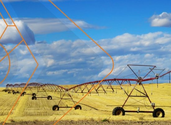 prime action agro 2a